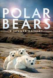 Watch Free Polar Bears: A Summer Odyssey (2012)