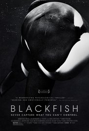 Watch Free Blackfish (2013)