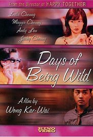 Watch Free Days of Being Wild (1990)