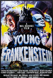 Watch Free Young Frankenstein (1974)