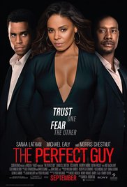 Watch Free The Perfect Guy 2015